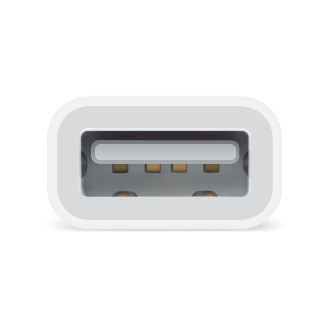 Adaptateur pour Appareil Photo Lightning vers USB