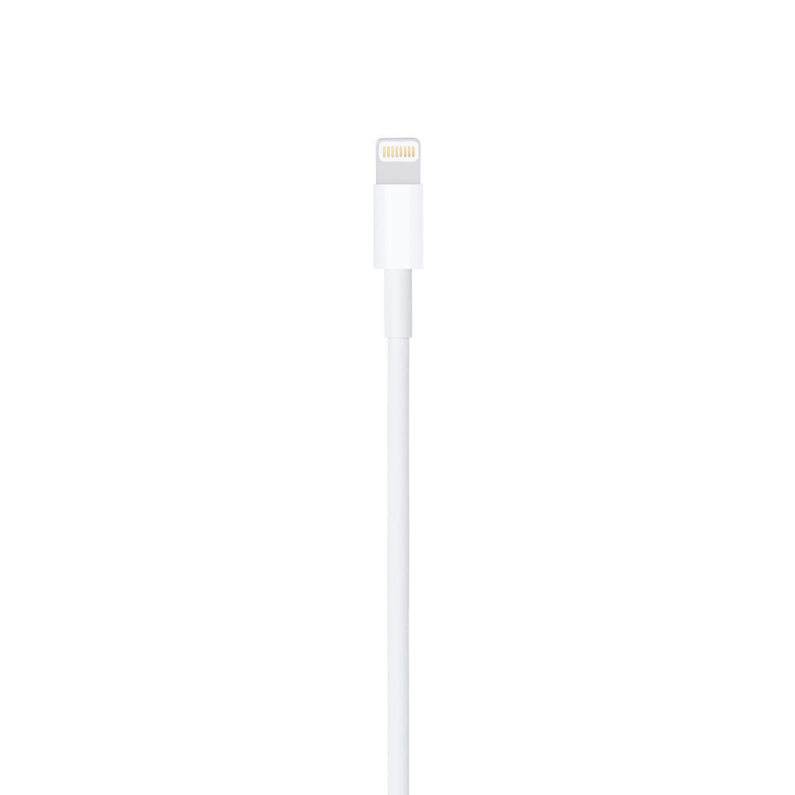 Câble Lightning vers USB (0,5 m)