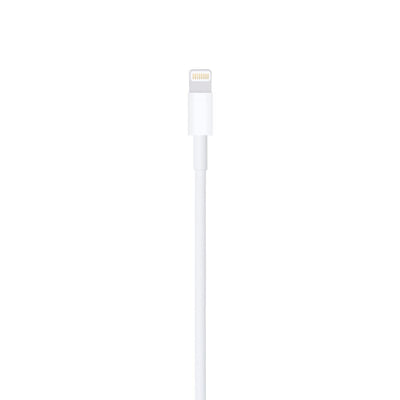 Câble Lightning vers USB (0,5 m)