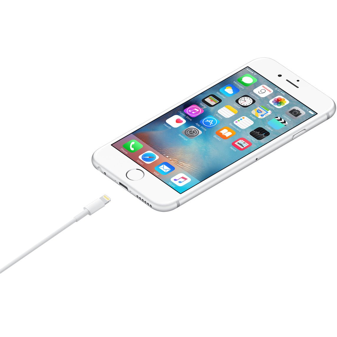 Câble Lightning vers USB (0,5 m)