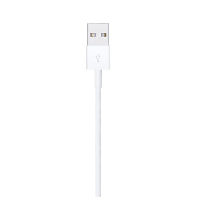 Câble Lightning vers USB (0,5 m)